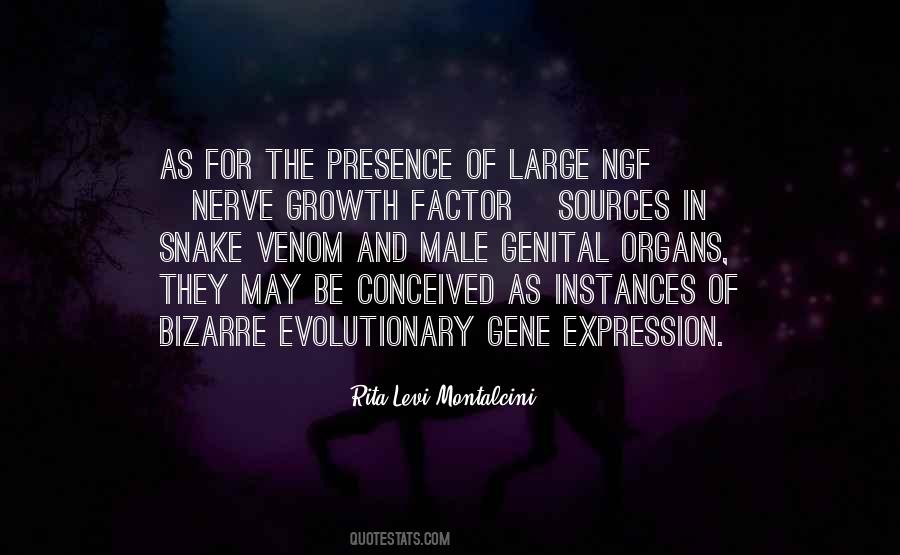 Rita Levi-Montalcini Quotes #1156205