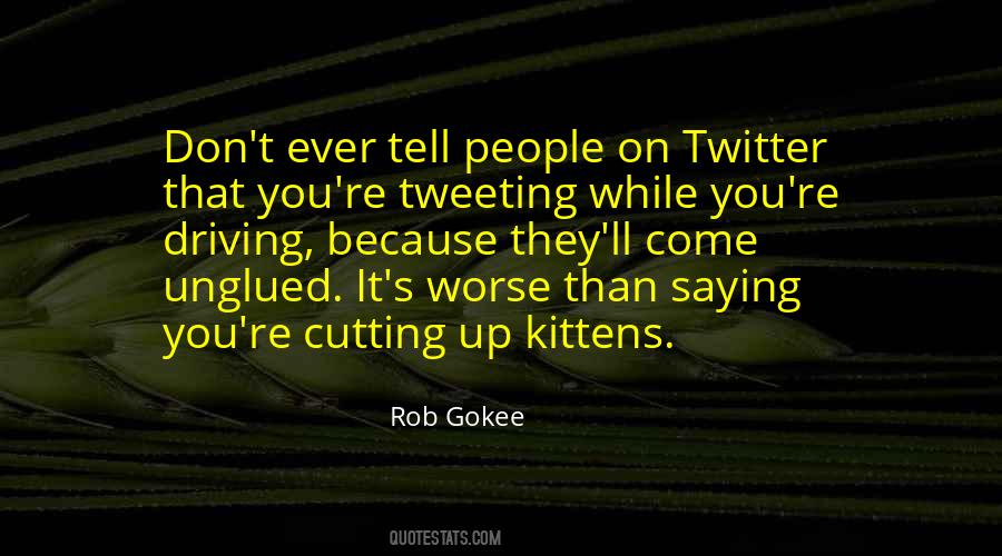 Rob Gokee Quotes #1732277