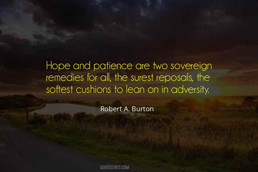 Robert A. Burton Quotes #648993