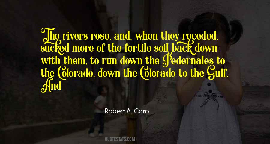 Robert A. Caro Quotes #1553062
