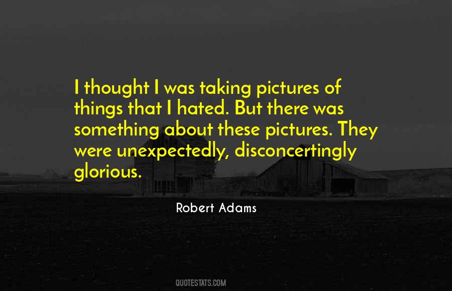 Robert Adams Quotes #148091