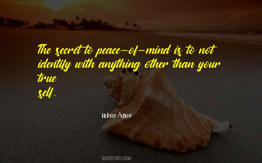 Robert Adams Quotes #1554803