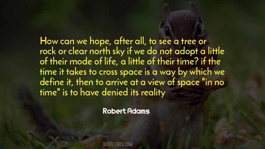 Robert Adams Quotes #258201