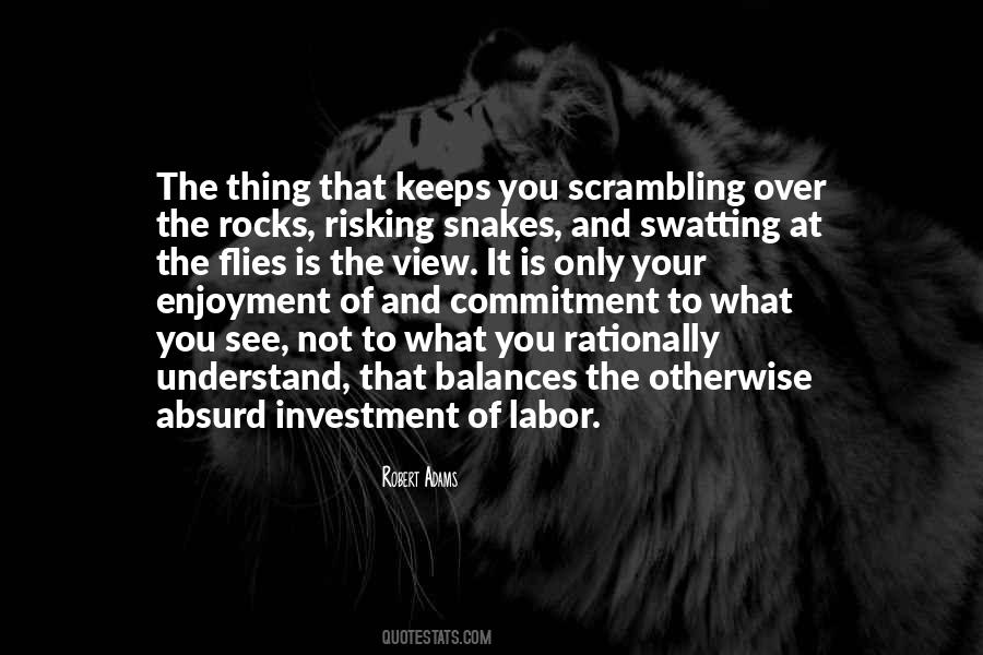 Robert Adams Quotes #671486