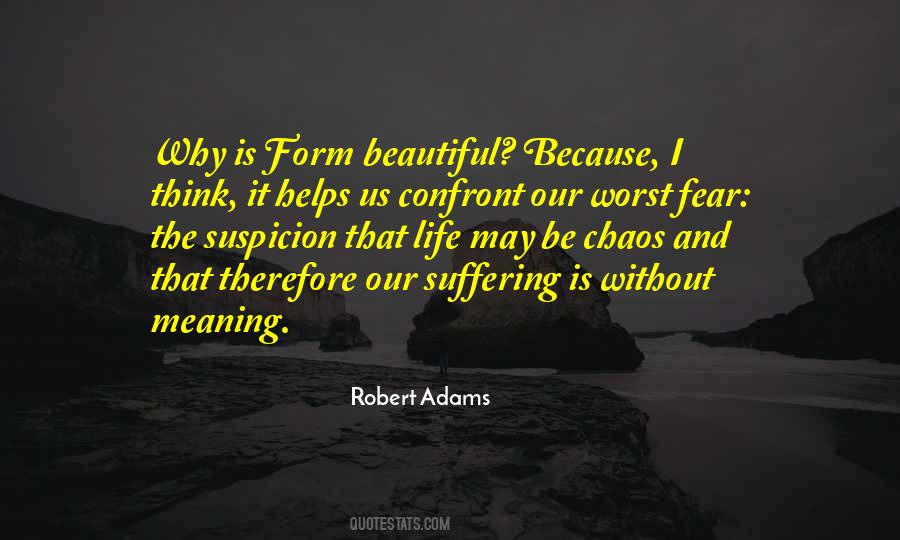 Robert Adams Quotes #709491