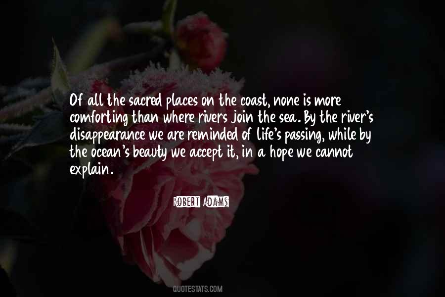 Robert Adams Quotes #942454