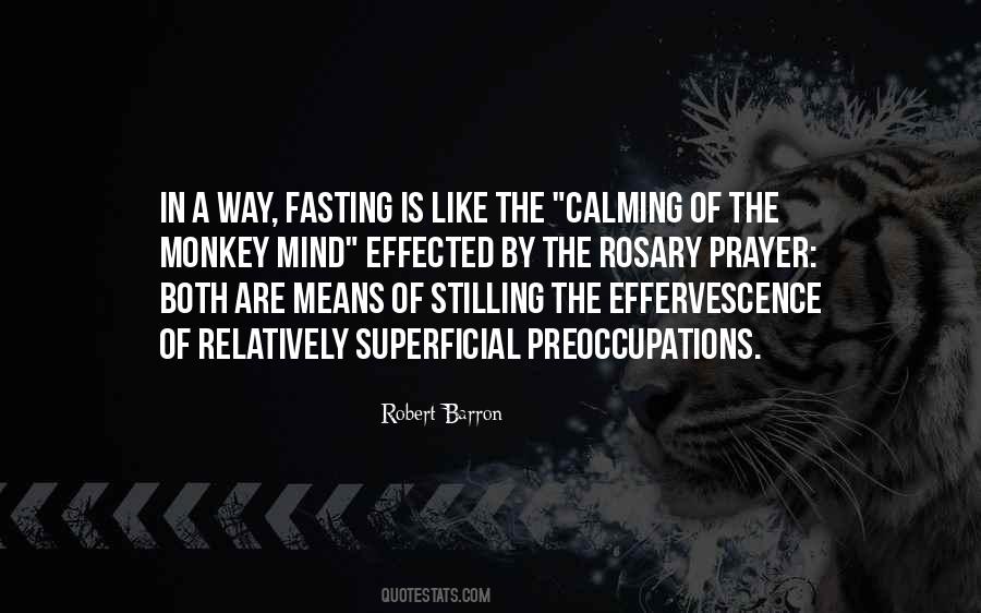 Robert Barron Quotes #983127 Robert Barron Quotes #983127