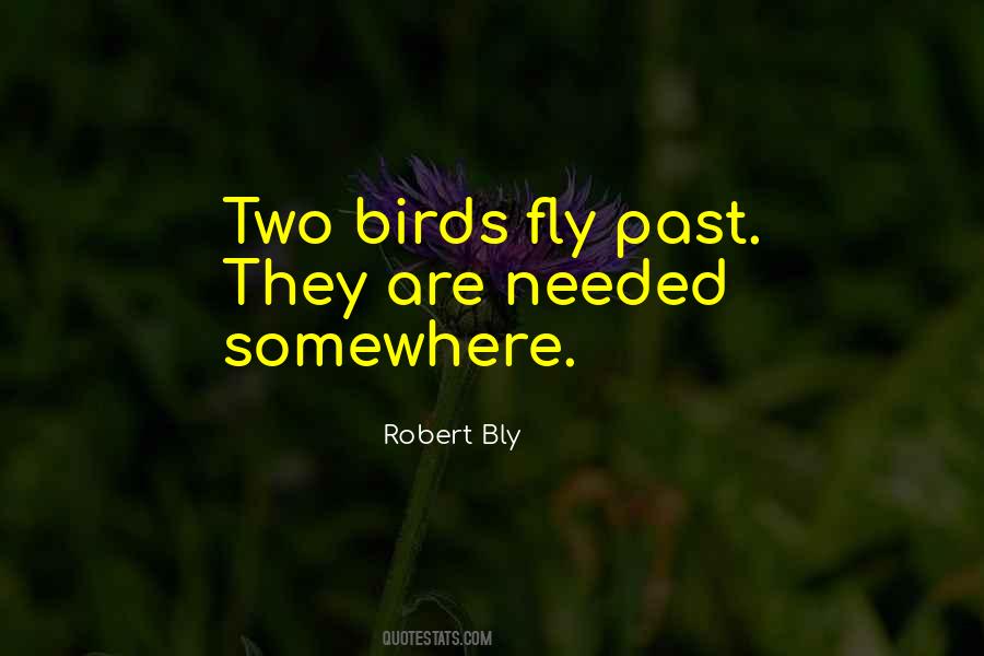 Robert Bly Quotes #1466844