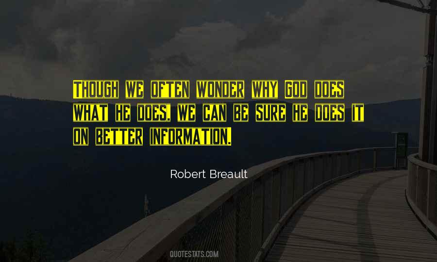 Robert Breault Quotes #1759068