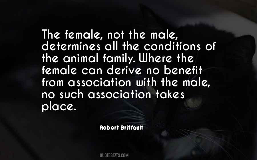 Robert Briffault Quotes #1836340