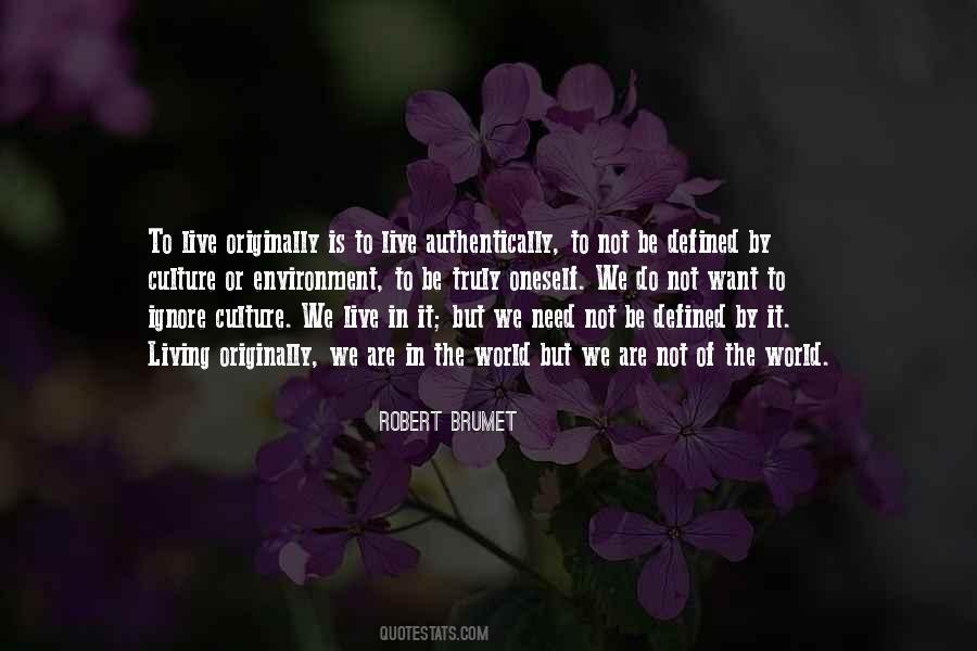 Robert Brumet Quotes #1073889