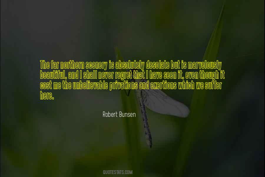 Robert Bunsen Quotes #809853