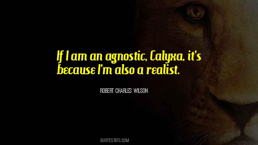 Robert Charles Wilson Quotes #1022991