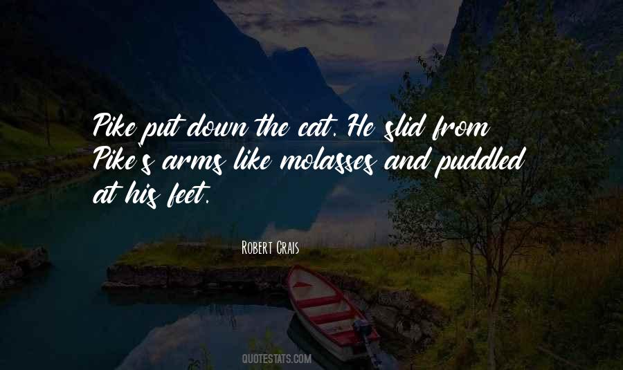 Robert Crais Quotes #498149