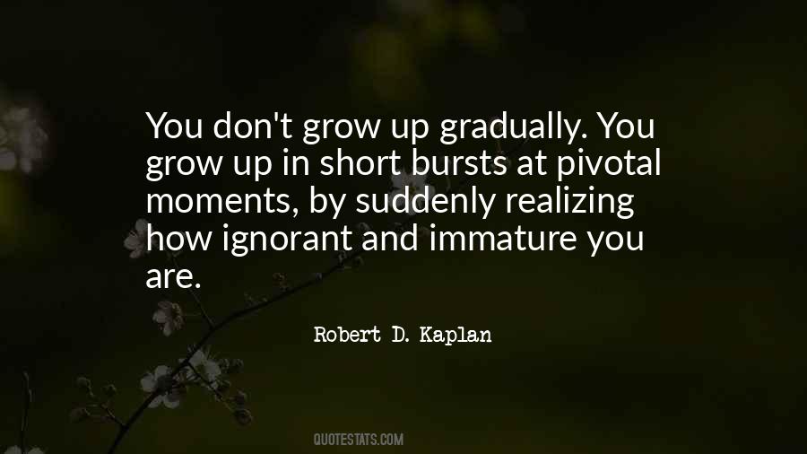 Robert D. Kaplan Quotes #674919