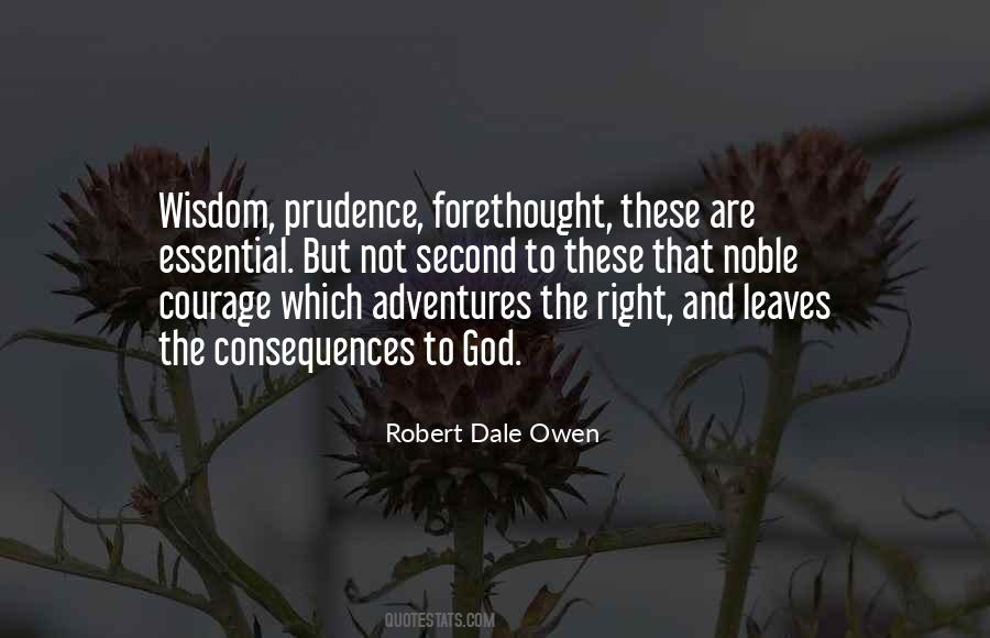 Robert Dale Owen Quotes #84359