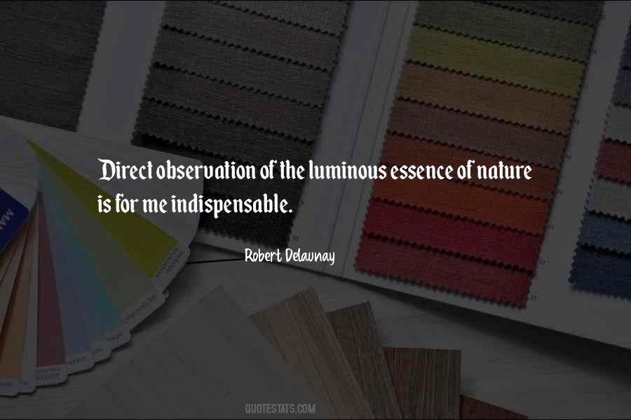 Robert Delaunay Quotes #1811106