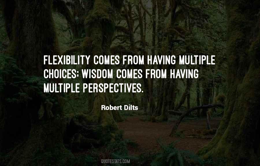 Robert Dilts Quotes #907977