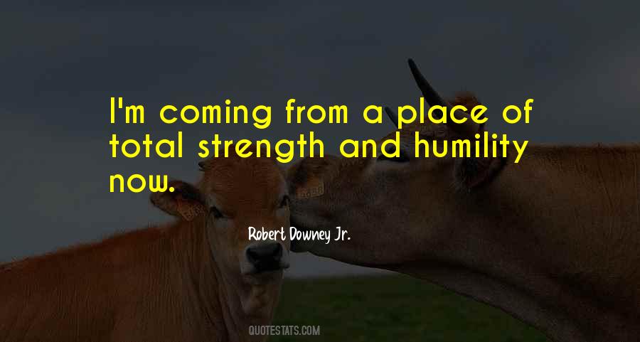 Robert Downey Jr. Quotes #1792312