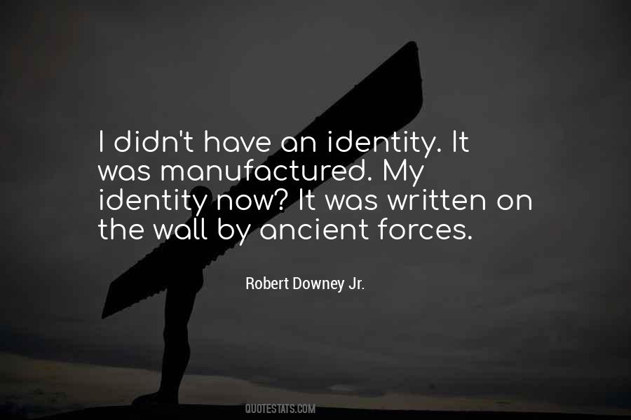 Robert Downey Jr. Quotes #368805
