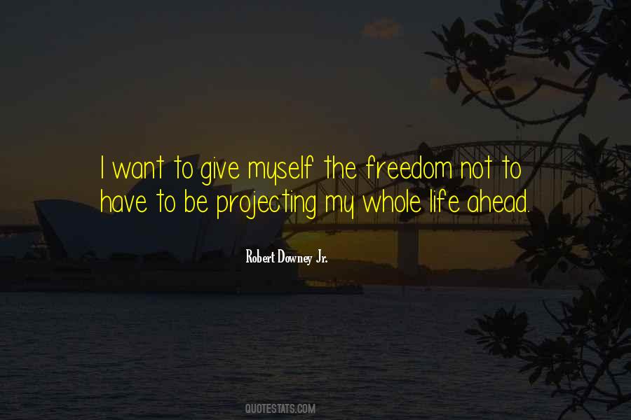 Robert Downey Jr. Quotes #385792