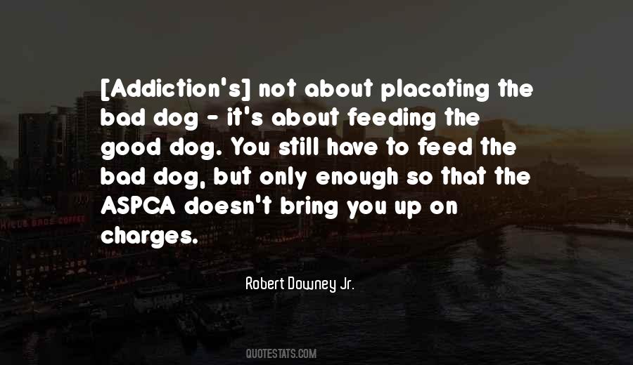 Robert Downey Jr. Quotes #674935