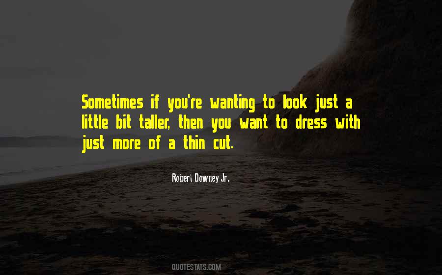 Robert Downey Jr. Quotes #824852