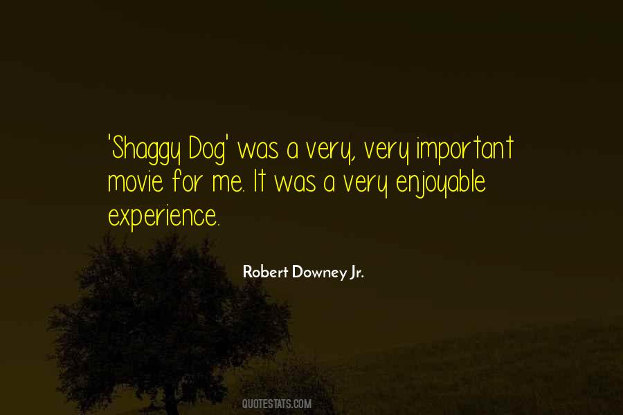 Robert Downey Jr. Quotes #890170