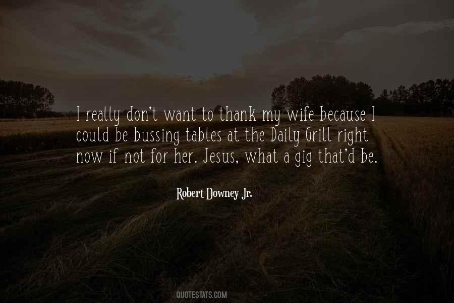 Robert Downey Jr. Quotes #898615