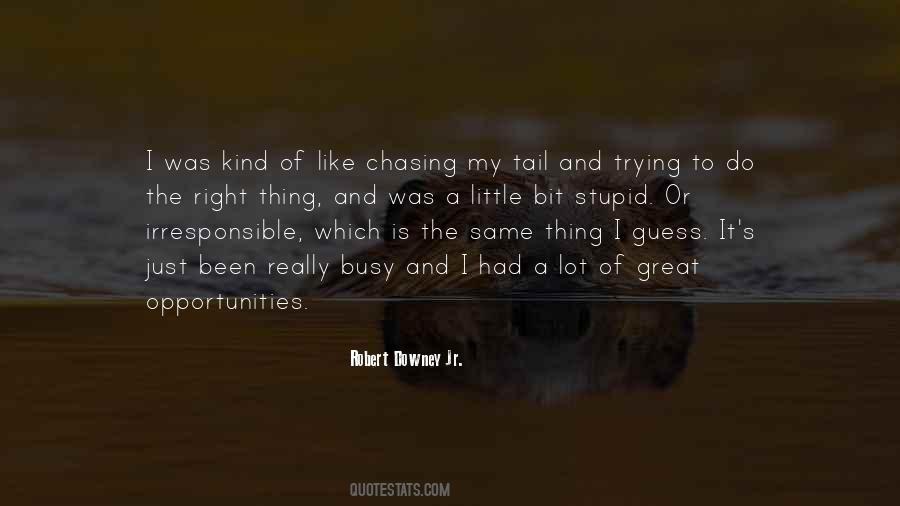 Robert Downey Jr. Quotes #980733
