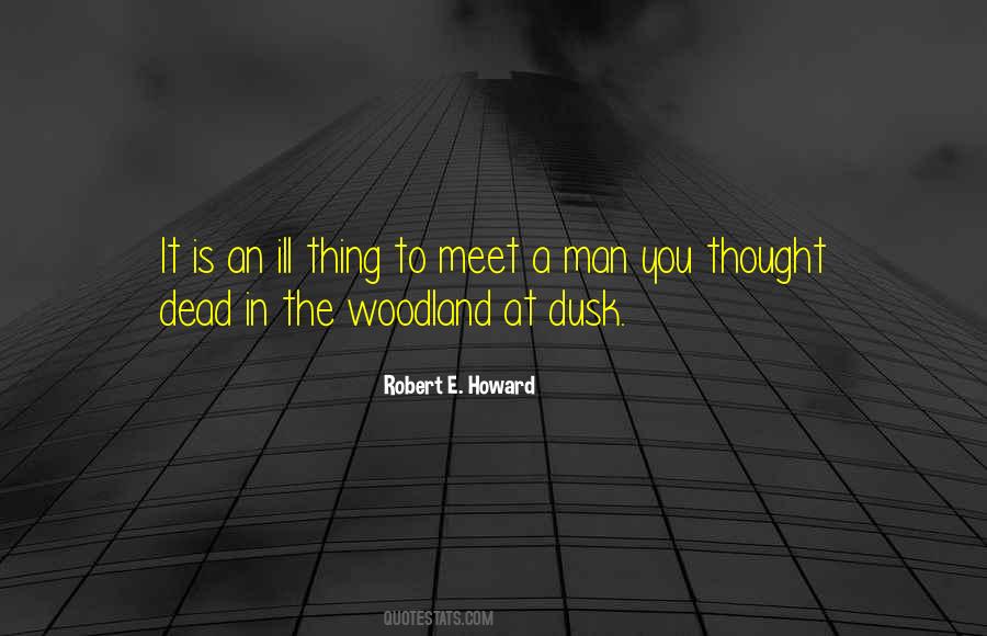 Robert E. Howard Quotes #489736