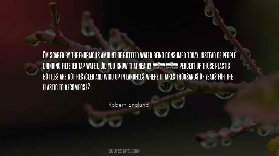Robert Englund Quotes #136085