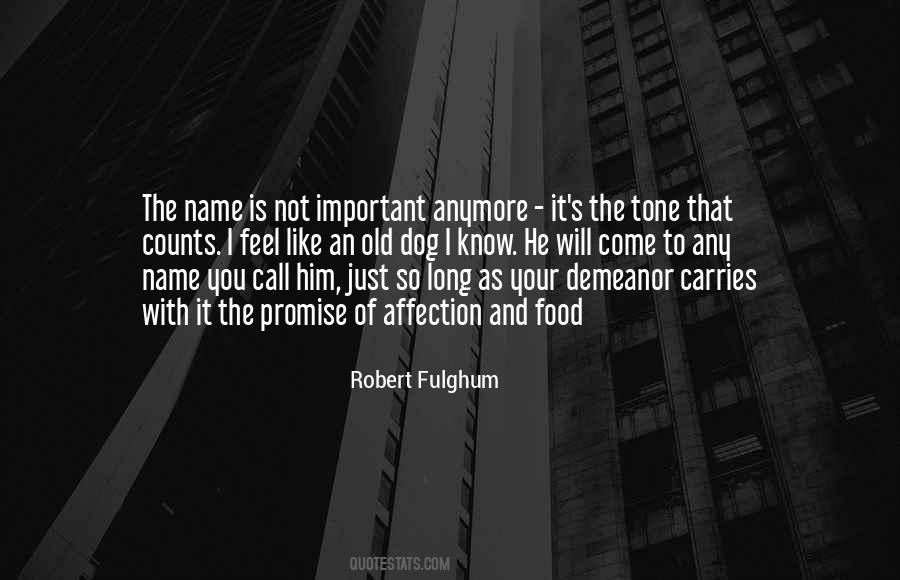 Robert Fulghum Quotes #523104