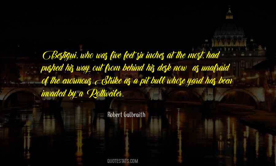 Robert Galbraith Quotes #1209431