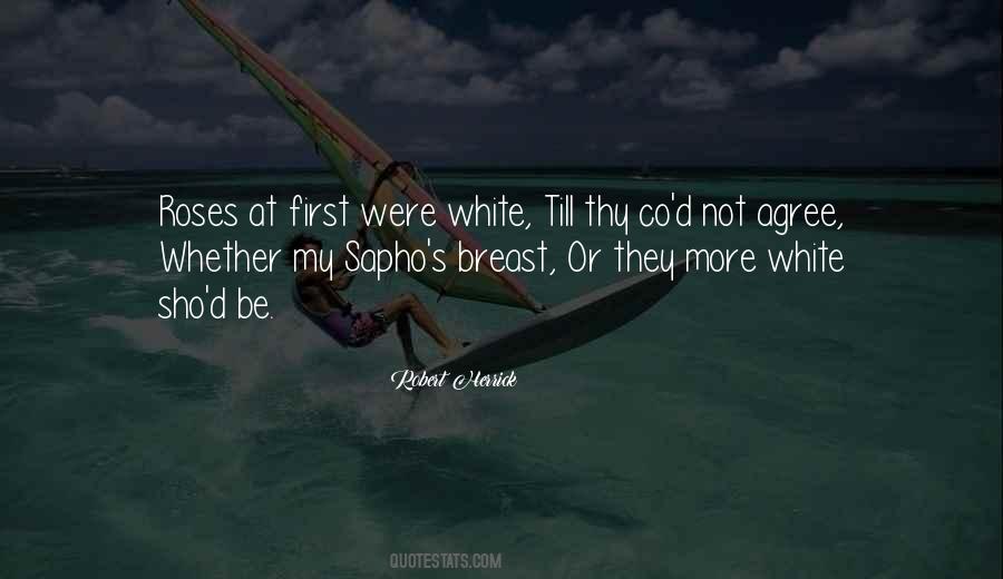 Robert Herrick Quotes #911252