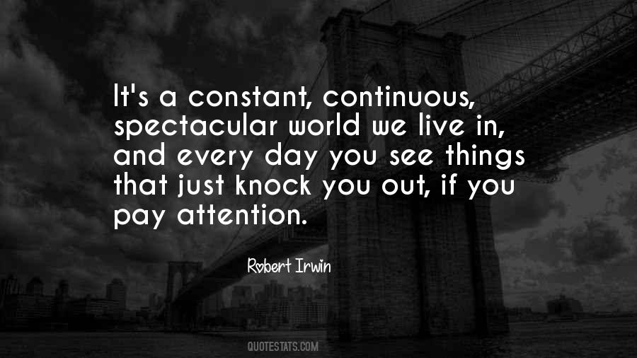 Robert Irwin Quotes #1647657