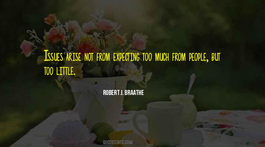 Robert J. Braathe Quotes #155028