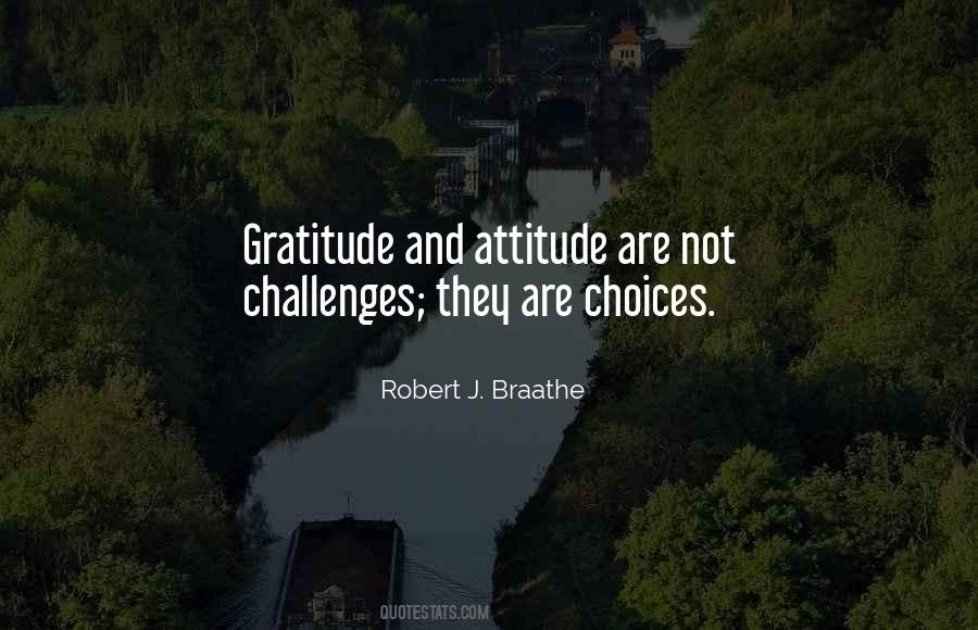 Robert J. Braathe Quotes #849691