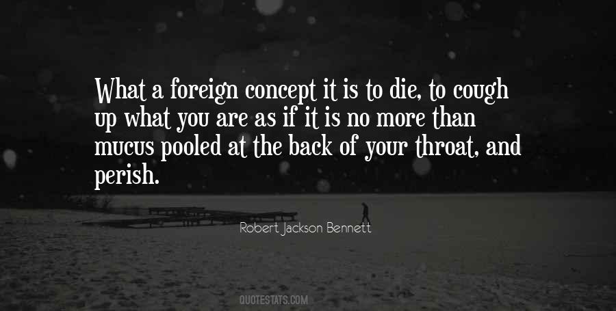 Robert Jackson Bennett Quotes #1062686