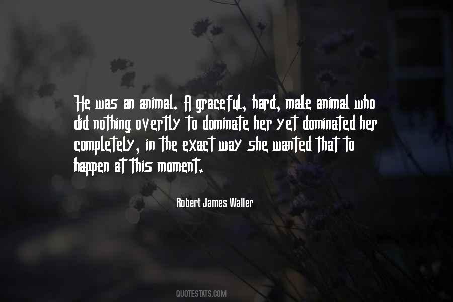 Robert James Waller Quotes #1055479