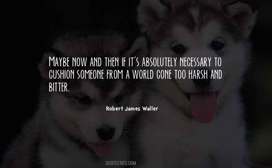 Robert James Waller Quotes #1831395