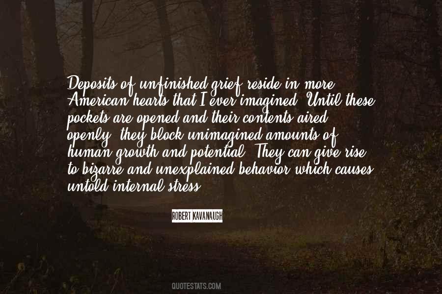 Robert Kavanaugh Quotes #312995