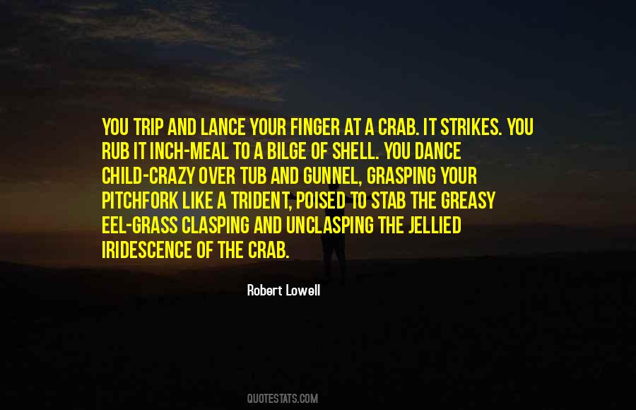 Robert Lowell Quotes #126096