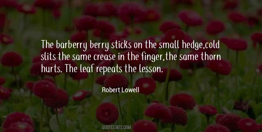 Robert Lowell Quotes #526923