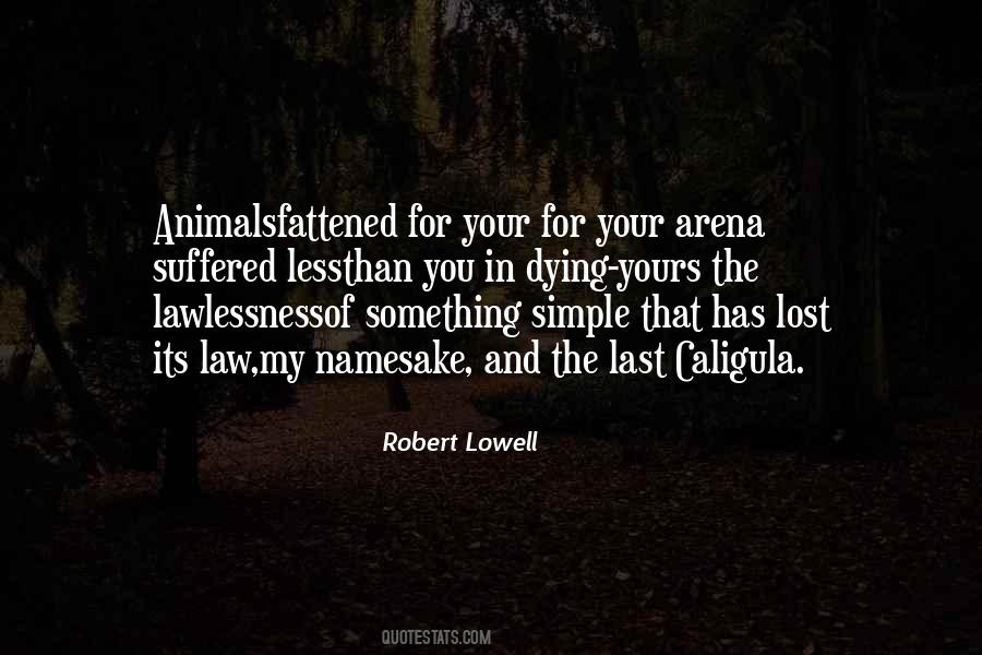 Robert Lowell Quotes #944693