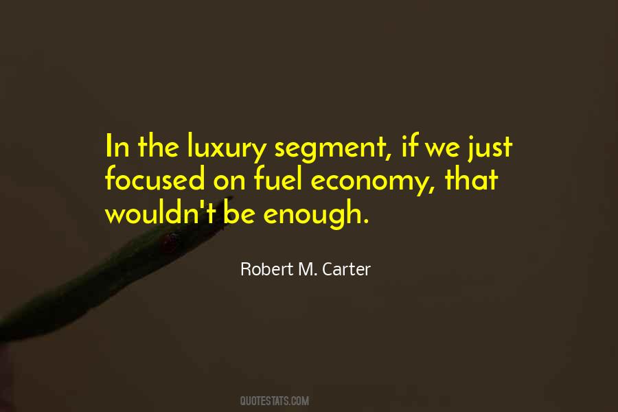 Robert M. Carter Quotes #1879048