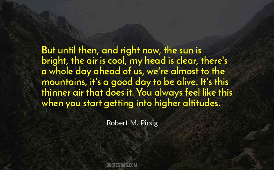 Robert M. Pirsig Quotes #135583