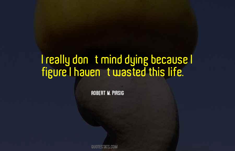 Robert M. Pirsig Quotes #1837059