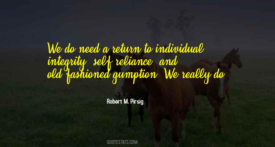Robert M. Pirsig Quotes #282205