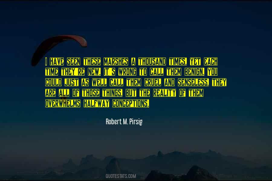 Robert M. Pirsig Quotes #419251